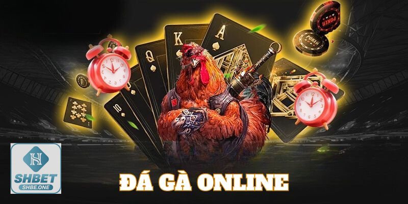 Đá gà cựa dao - Trải nghiệm giải trí và cá cược có trách nhiệm